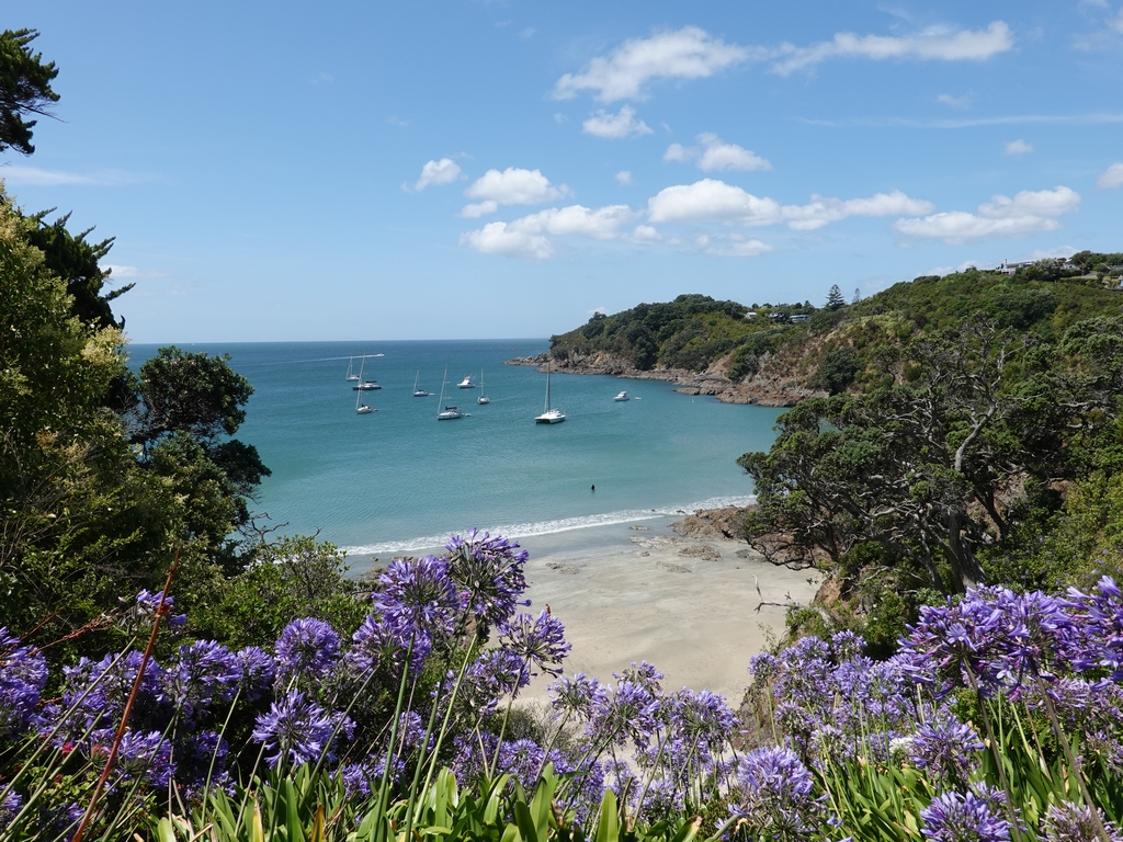 Waiheke Island