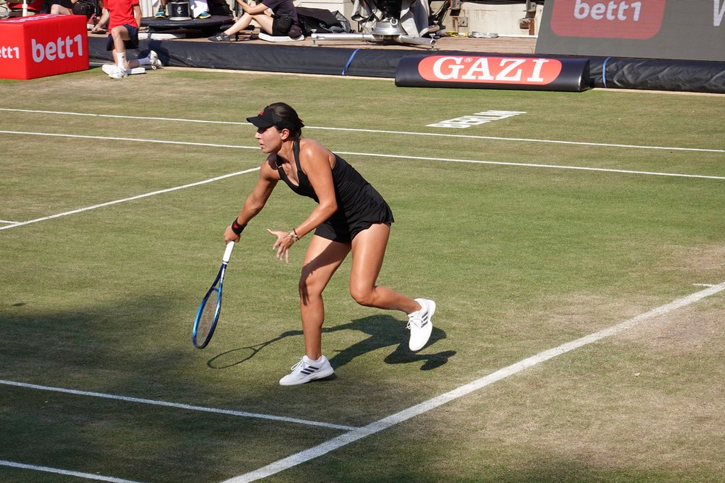 Pegula vs. Pliskova