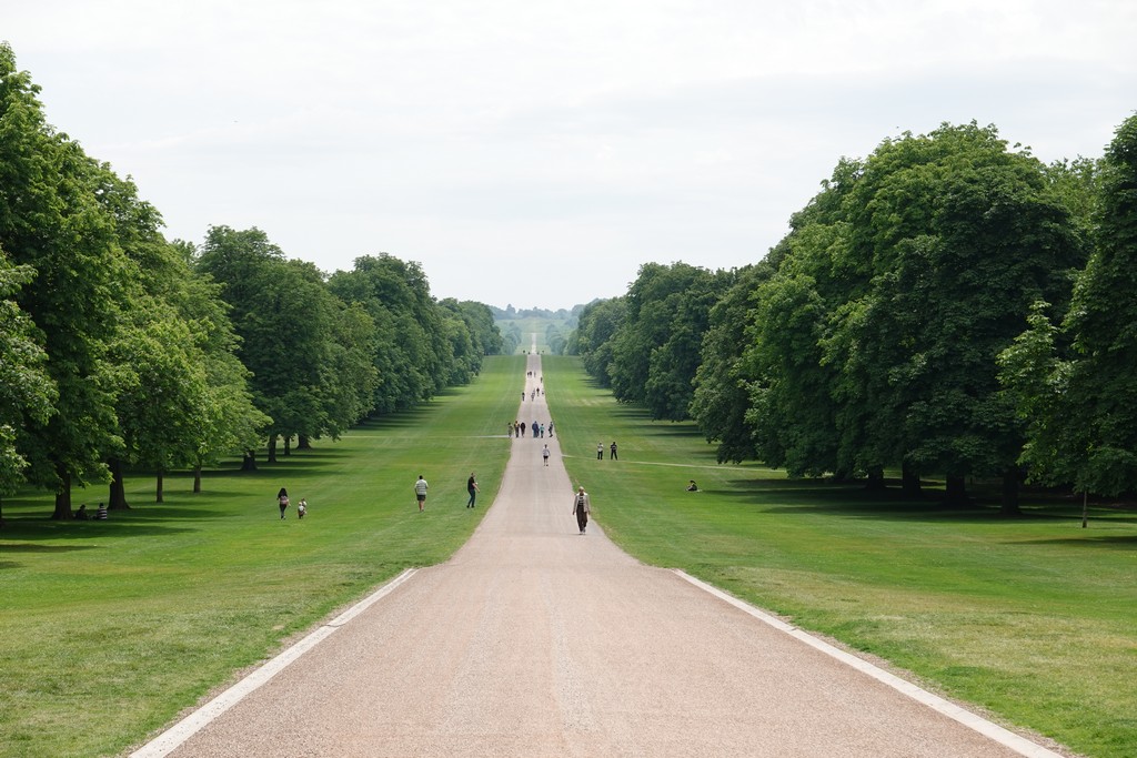 London: The Long Walk @ Windsor Castle