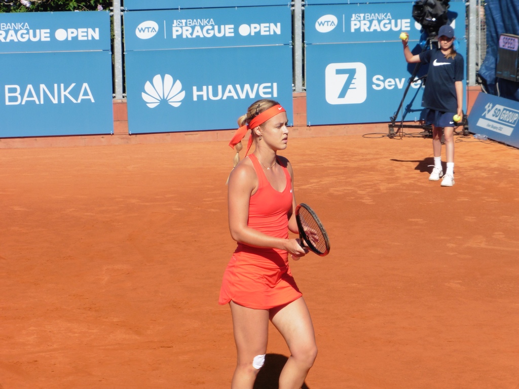 Schmiedlova vs. Watson