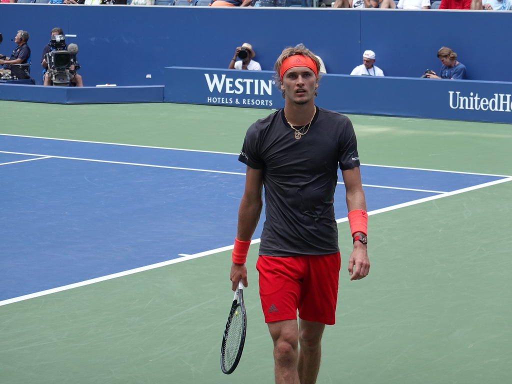 Zverev vs. Polansky