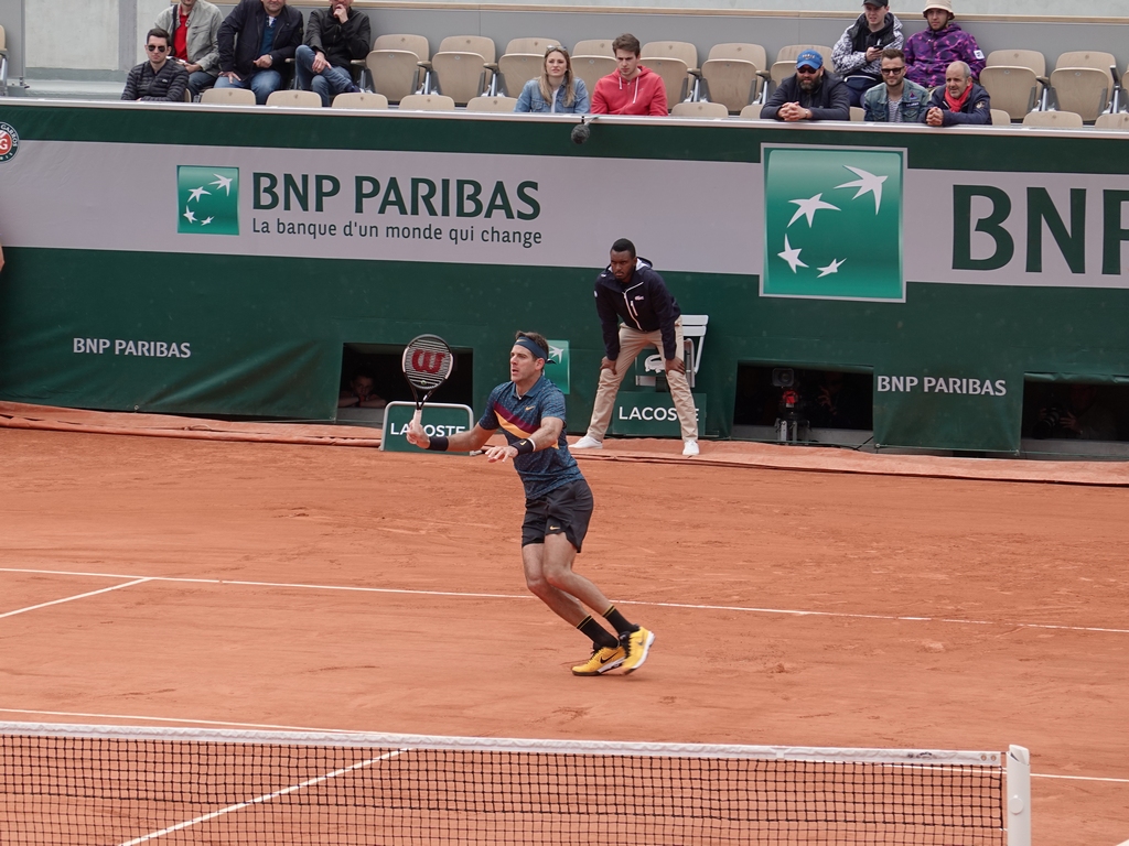 Del Potro vs. Jarry