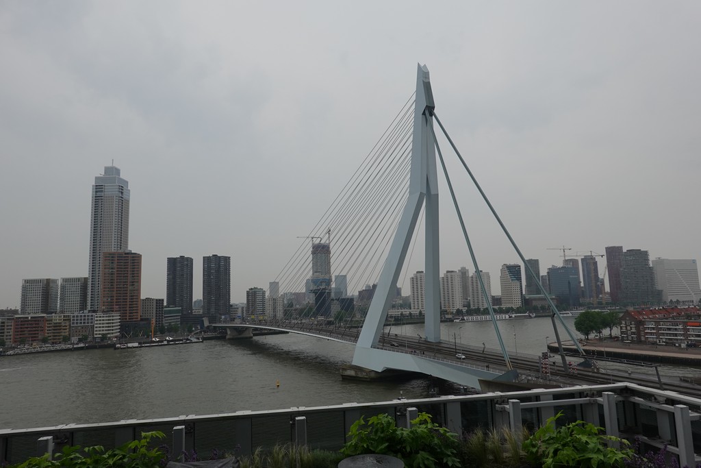 Rotterdam: Erasmusbrug